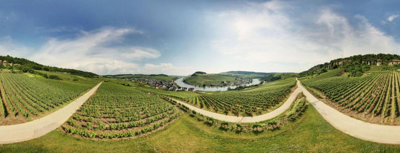 Weingut Matthias Dostert / Culinarium Hotell Nittel Exteriör bild
